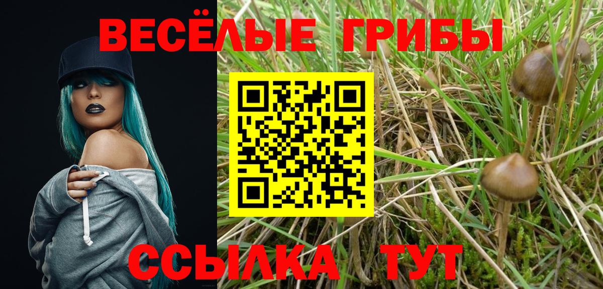 Галлюциногенные грибы мицелий Южно-Сахалинск